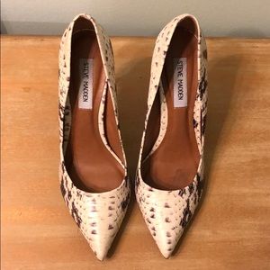 Steve Madden snake print shoes
